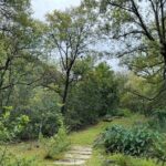 Discover Estanzuela Natural Park - The Sum Up