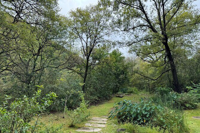 Discover Estanzuela Natural Park - The Sum Up