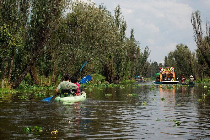 Discover Lake Xochimilco via Kayak Adventure - Who Should Consider This Tour?
