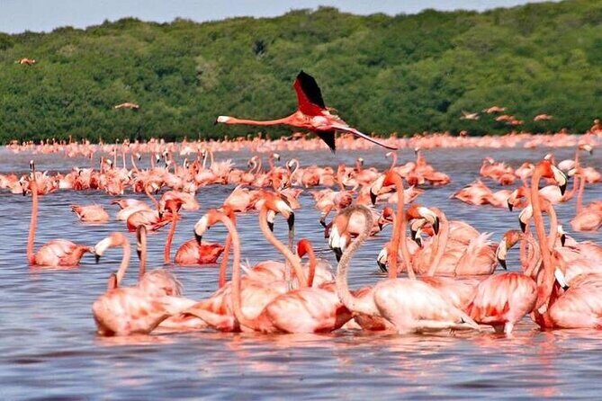 Discover Las Coloradas Adventure Tour All Inclusive - Weather and Cancellation Policies