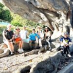 Discover Lush Gardens, Trees & Neighborhoods: Private - Final Thoughts