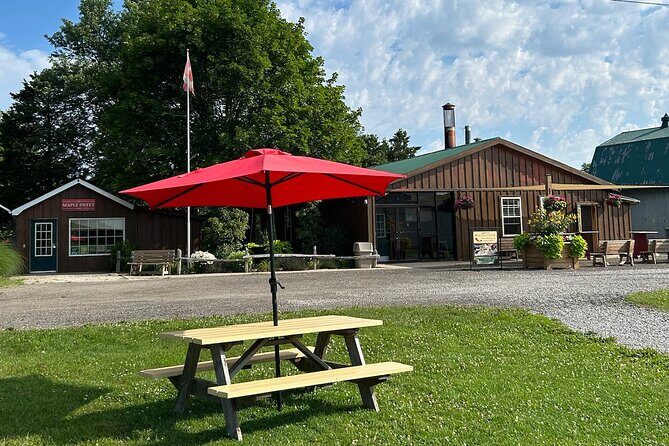 Discover Maple Sugar Bush Tour - The Itinerary Breakdown