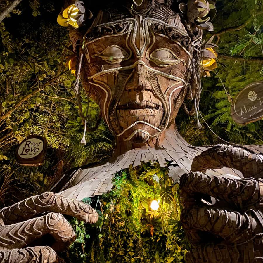 Discover Mayan Magic: Tulum, Coba, Cenote & Playa del Carmen - Who Is This Tour Best For?