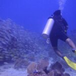 Discover Scuba - Who Should Book This Tour?