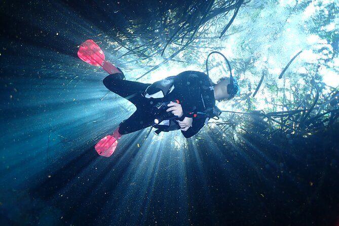 Discover Scuba Diving at Casa Cenote No Certification Needed - The Setting: Casa Cenote’s Unique Appeal