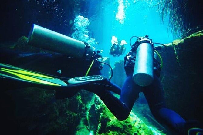 Discover Scuba Diving at Casa Cenote - Why This Tour Offers Great Value