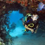 Discover Scuba Diving Course in Playa del Carmen with Two Coral Reef Dives - Who Should Consider This Tour?