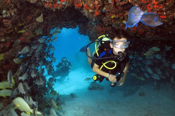 Discover Scuba Diving Course in Playa del Carmen with Two Coral Reef Dives - Who Should Consider This Tour?
