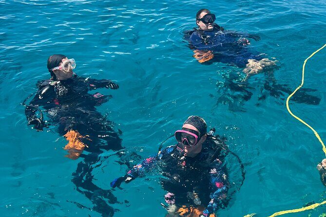 Discover Scuba Diving Course Pool Training Session in Key Largo. - The Value Proposition