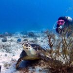Discover Scuba Diving in Cozumel - Why Travelers Love It