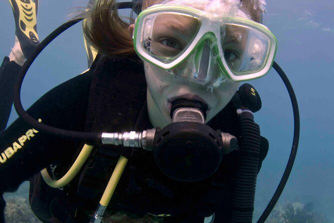 Discover Scuba Diving - One Tank at Coral Reef - Who Will Love This Experience?
