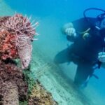 Discover Scuba experience at Las Caletas, Puerto Vallarta - A Closer Look at the Itinerary