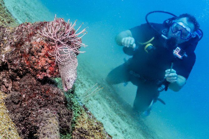 Discover Scuba experience at Las Caletas, Puerto Vallarta - A Closer Look at the Itinerary