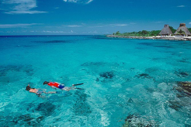 Discover starfish, swim and snorkel at El Cielo Cozumel Reef - Who Will Love This Tour?