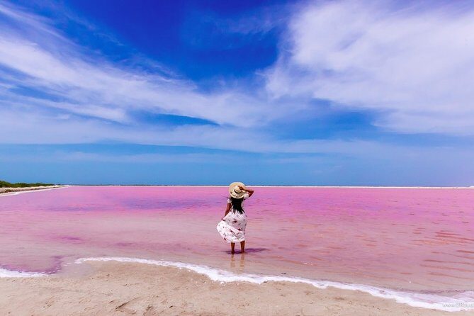 Discover the FABULOUS PINK WATERS in the Caribean - Practical Aspects and Value