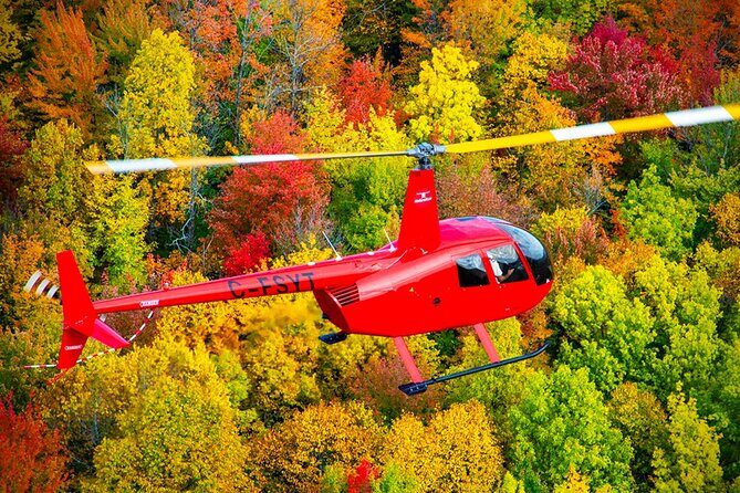 Discover the Monteregie Landscape Helicopter Tour - The Pilot and the Service