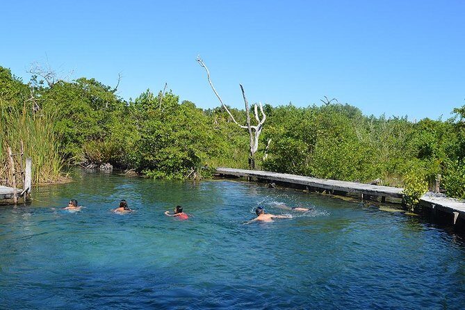 Discover the Wonders of Holbox, Cenote and Passion Island. Transport included - The Sum Up