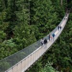 Discover Vancouver A Guided Tour - A Closer Look at the Itinerary and Experience