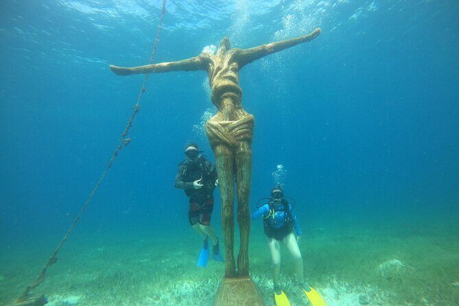 Discovering Diving in Chankanaab Park - The Sum Up