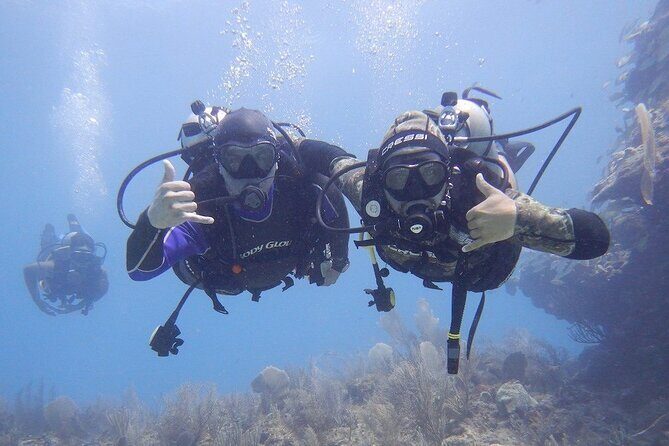 Discovery Scuba Dive. - Authentic Experiences from Travelers