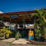 Discovery Taco Tour at Puerto Vallarta - Details of the Itinerary and Highlights