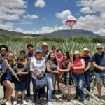 Distillery Tour and Agave Fields by Mal de Amor Mezcal - Practical Details and What to Expect