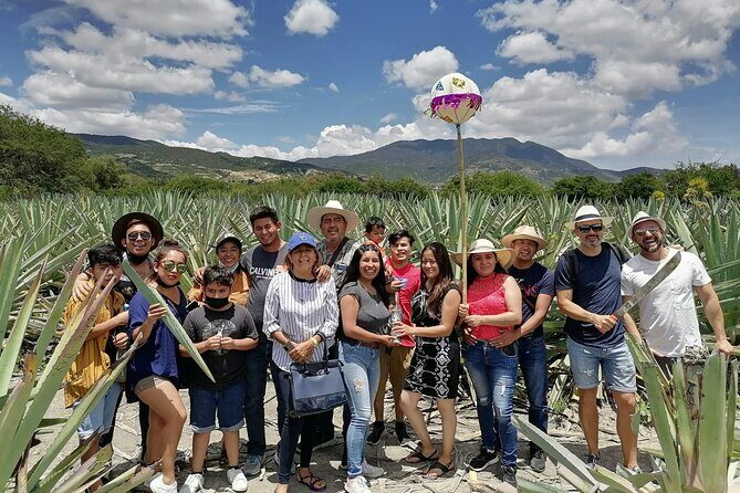 Distillery Tour and Agave Fields by Mal de Amor Mezcal - Practical Details and What to Expect