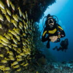 Dive Cenote - The Tour Itinerary: What to Expect