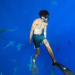 Dive with Sharks in Hawaii: Shark Tour from Haleiwa - The Flipside: Things to Keep in Mind