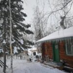 Dog Sledding - The Day in Detail