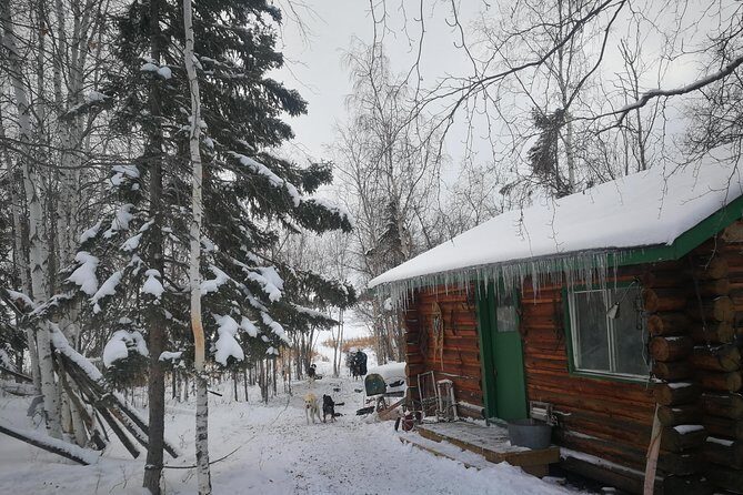 Dog Sledding - The Day in Detail