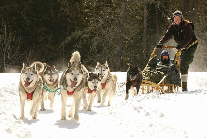 Dogsled Adventure in Mont-Tremblant - Final Thoughts