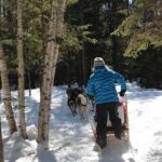 Dogsledding Nordic Adventure in Mont Tremblant - FAQs About the Dogsledding Nordic Adventure in Mont Tremblant