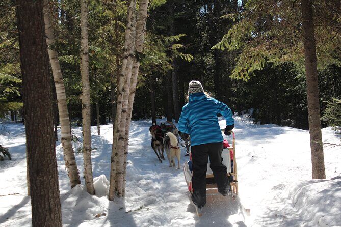 Dogsledding Nordic Adventure in Mont Tremblant - FAQs About the Dogsledding Nordic Adventure in Mont Tremblant