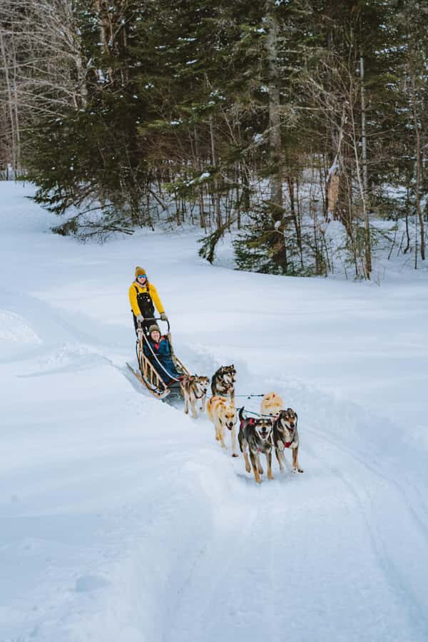 Dogsledding Upper Laurentians near Mont-Tremblant - The Kennel Visit and Post-Ride Comforts