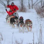 Dogsledding Valley Adventure near Mont-Tremblant - Final Thoughts
