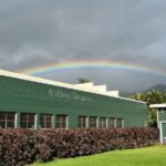 Dole Pineapple Plantation and Ko Hana Rum Afternoon Tour - Practical Details and What It Means for You