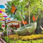 Dollywood Day Trip from Nashville - The Scenic Drive and Transportation