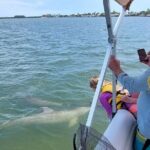 Dolphin and Manatee Boat Tour from Cocoa Beach and Port Canaveral - Why The Shallow Waters Matter
