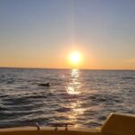 Dolphin and Sunset tour aboard the Hydro Rocket - Final Thoughts