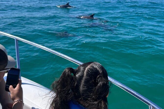 Dolphin Sightseeing and Shell Island Snorkel Tour - What’s Included & What To Keep in Mind