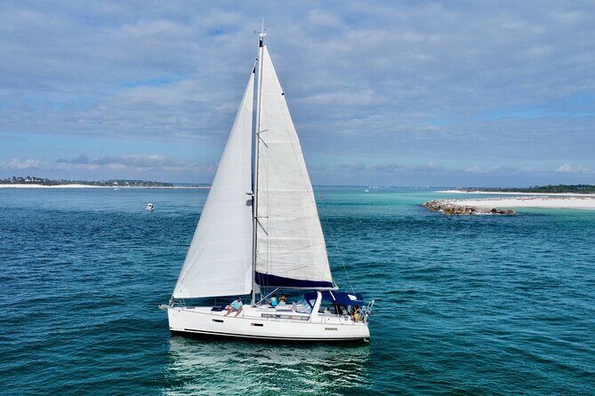 Dolphin Sightseeing Sail Aboard Daydreams Sailboat - The Breakdown of the Experience