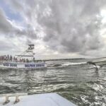 Dolphin Watching aboard the Cold Mil Fleet - What the Reviews Say