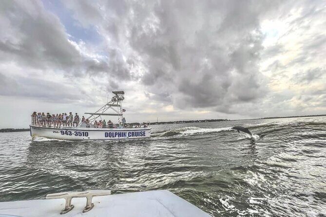 Dolphin Watching aboard the Cold Mil Fleet - What the Reviews Say