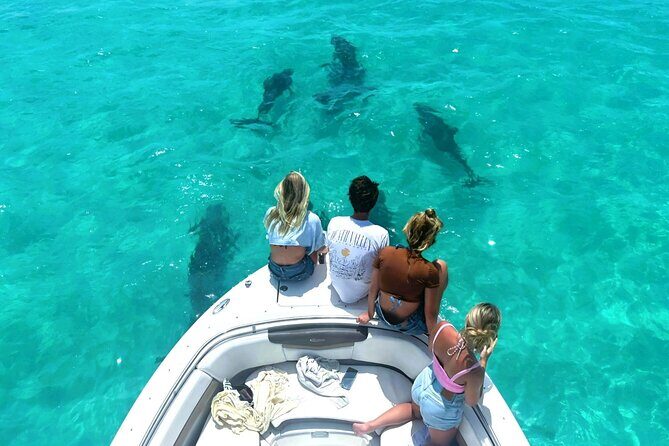 Dolphin Watching and Snorkeling Key West - Authenticity and Personal Touch: What Travelers Say