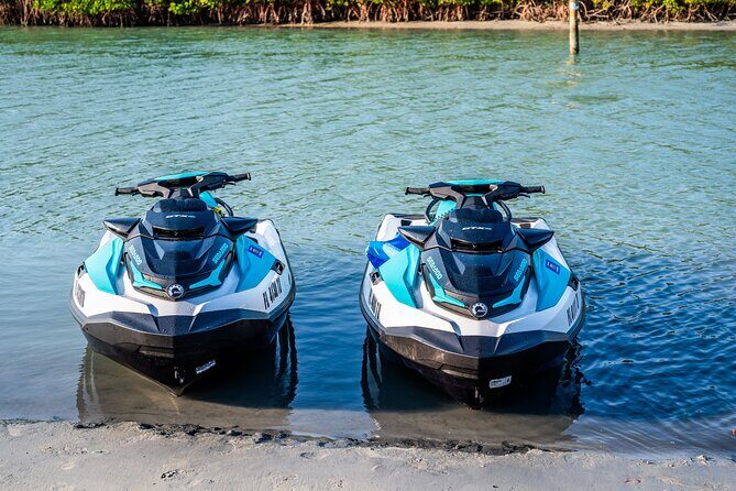 Dolphin Watching Jet Ski Tour - Who Will Love This Tour?