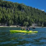 Door County: Deaths Door Kayak Tour with Guide - Value and Overall Experience
