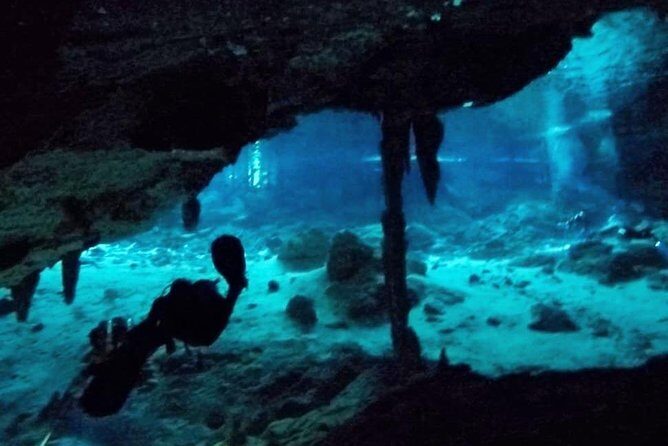 Dos Ojos Cenote Cavern Dive- The Barbie Line and The Bat Cave - Why This Tour Offers Good Value