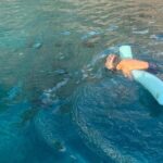 Double Reef Snorkel and Dolphin Watch in Kona - FAQs About the Double Reef Snorkel and Dolphin Watch in Kona