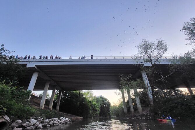Downtown Houston Bat and Skyline Kayaking Tour - Practical Tips for Your Tour